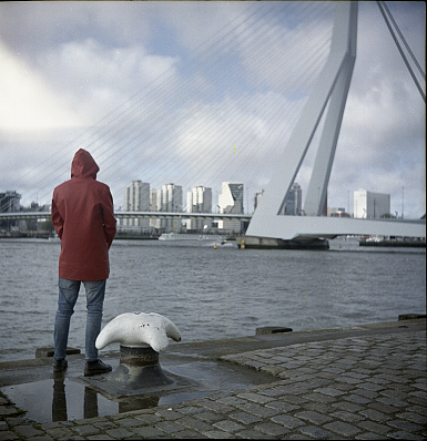 Zwanenweer